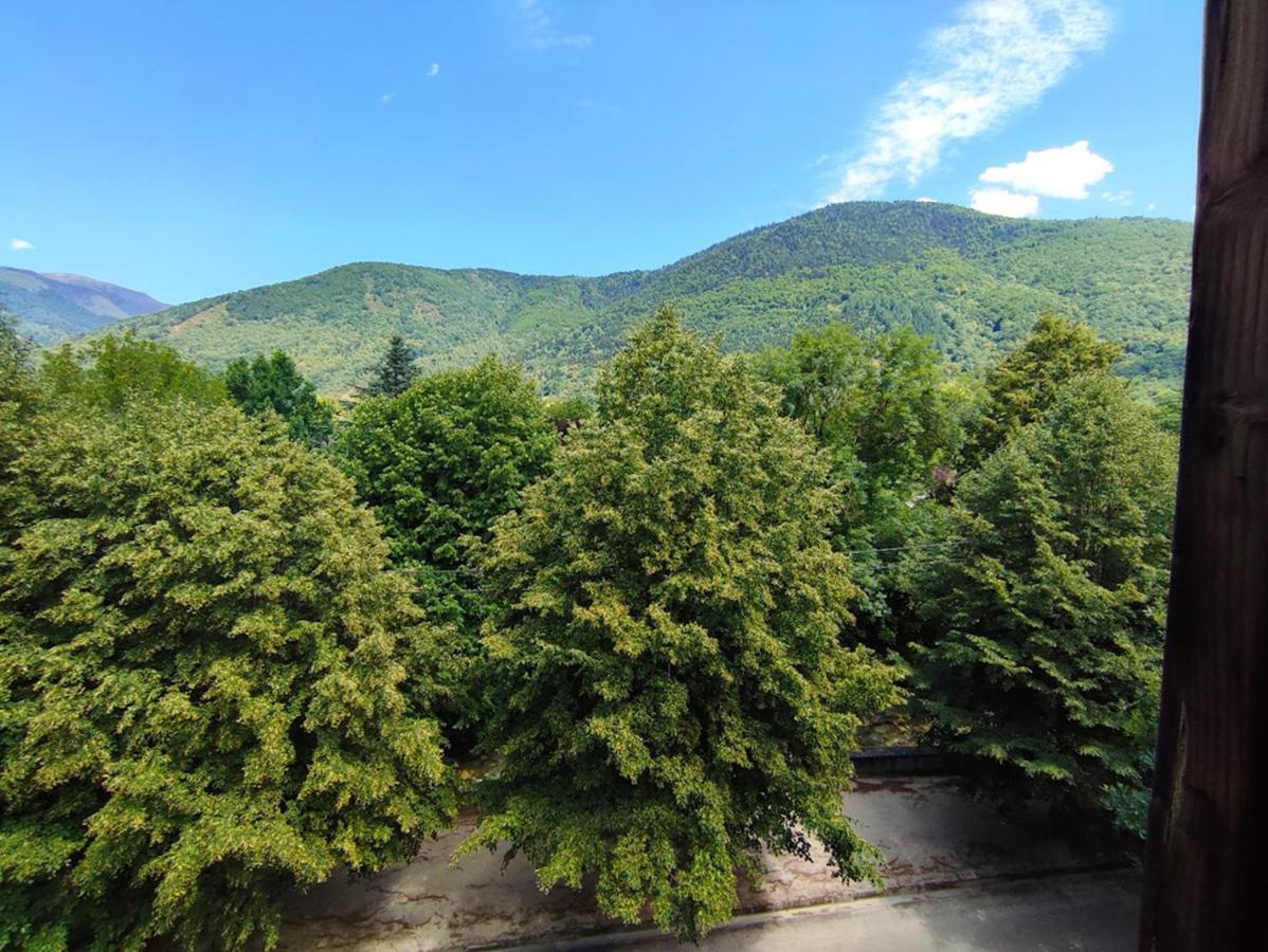 شقة T3 Les Jardins De Ramel, Parking, Balcon, Ascenseur, 5 Personnes Bagnères-de-Luchon المظهر الخارجي الصورة